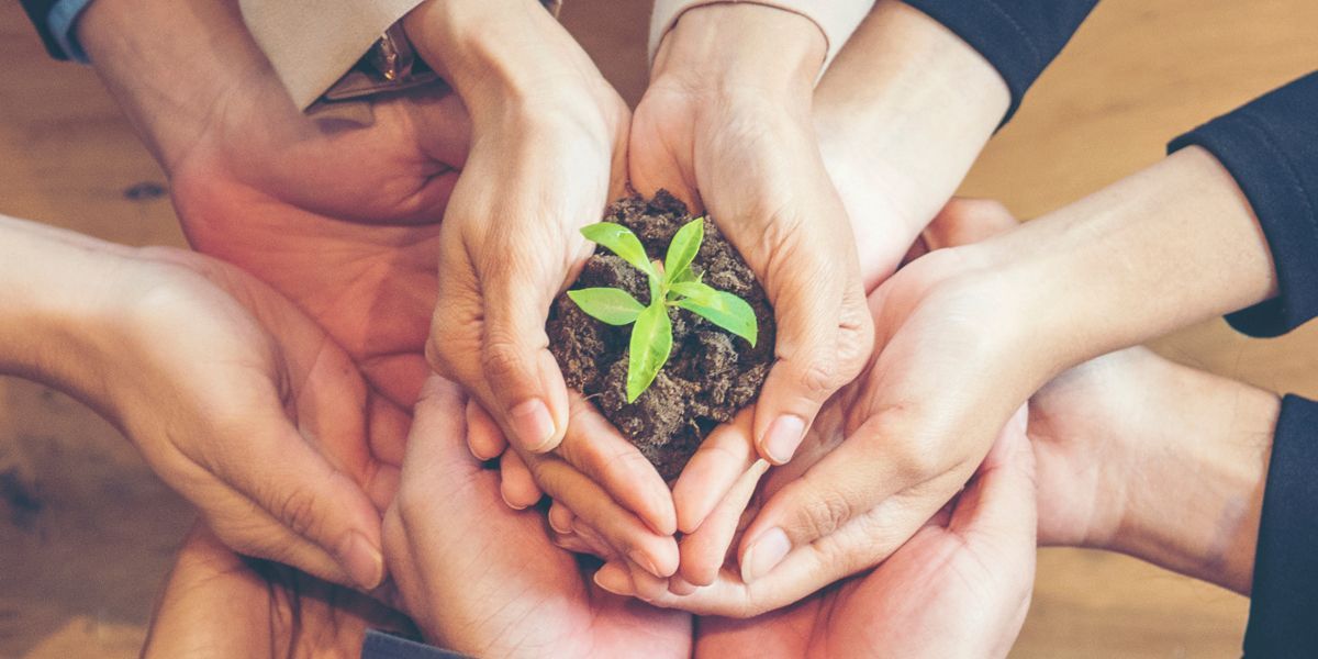 people having their hands together and holding soil and plant, sustainibility