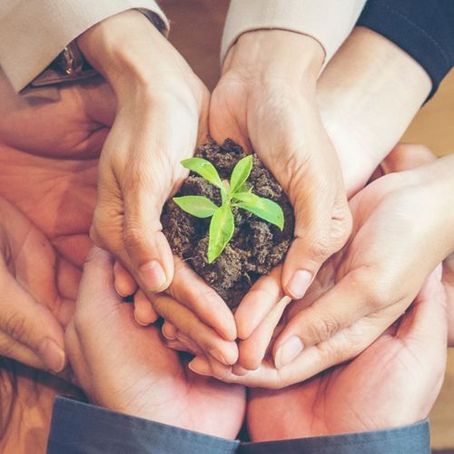 people holding together soil and a plant, sustainability