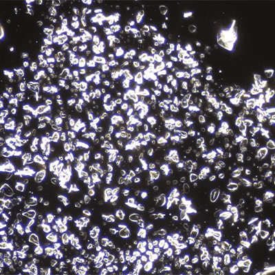 Mixed product with propagation material under very high magnification