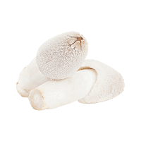 Mykopedia vital mushroom Schopftintling